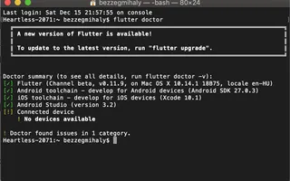 Miniature for post: Creating your first Flutter project using WebStorm