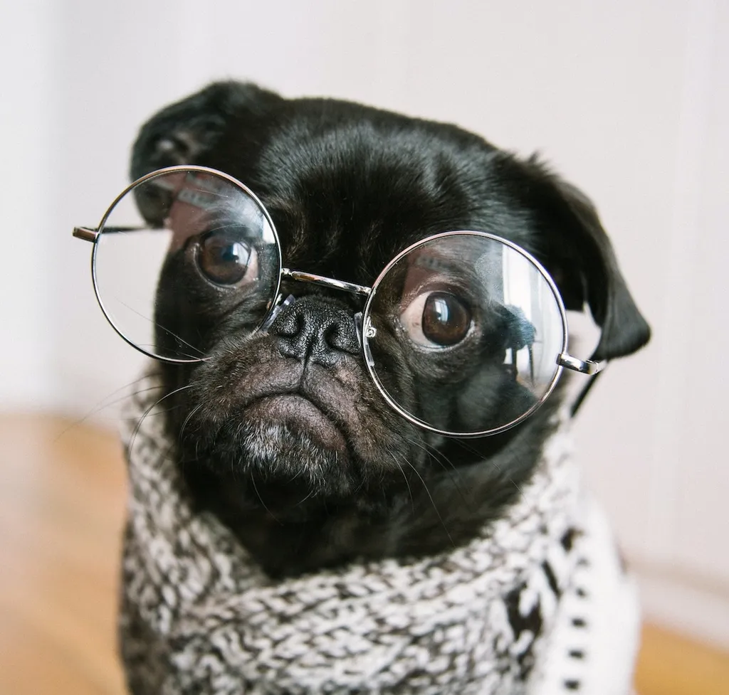 Mocking network requests in detox E2E tests