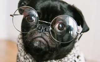 Miniature for post: Mocking network requests in detox E2E tests
