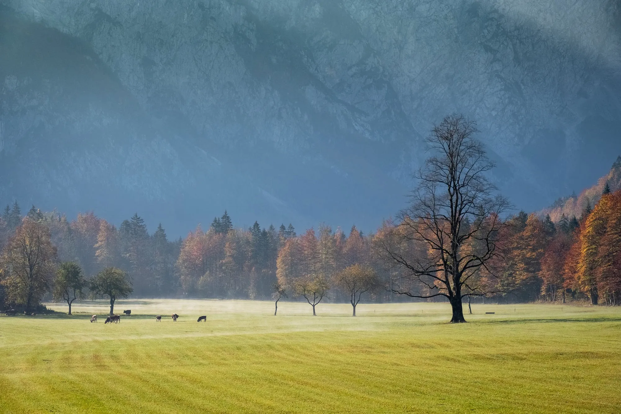 That’s what we are trying to save. Logarska Dolina, Slovenia.